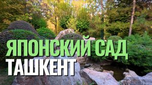 Японский сад в Ташкенте
