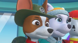 Щенячий патруль. Часть 12