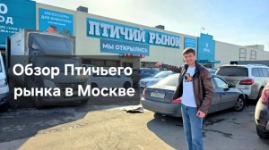 Новый птичий рынок в Москве