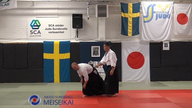 18.Aikido Shomen Uchi Ikkyo Omote, Shishiya Sensei Sundsvall 2016