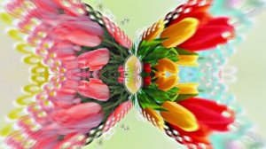 Весна! Очаровательные тюльпаны 3! Киностудия Мудрого Кота Тимофея!