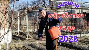 Когда и чем обработать сад от болезней и вредителей.