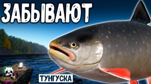 Rf4 многие просто забывают об этом а тут вот что #рр4