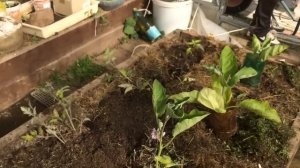 БЫТЬ УРОЖАЮ В ЛЮБУЮ ПОГОДУ!