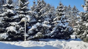 Снег кружится, летает..зимняя сказка