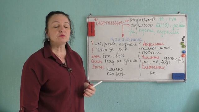 РАЗРЯДЫ ЧАСТИЦ: ОТРИЦАТЕЛЬНЫЕ, ФОРМООБРАЗУЮЩИЕ, МОДАЛЬНЫЕ