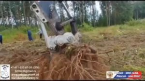 МЕНЯ ЗНАЮТ ВО ВСЕМ МИРЕ, Я СОЗДАЮ ДЛЯ РОССИИ ПРЕСТИЖ, А МОЙ ДОМ ЗАБРАСЫВАЮТ ХИМИЧЕСКИМИ БОМБАМИ