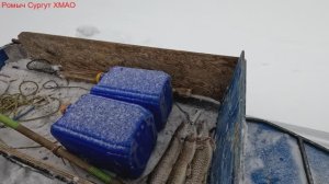 Жерлицы проверка. 28 день.