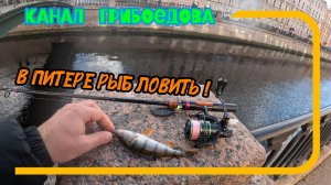 В Питере рыб ловить. Рыбалке в центре города. Канал Грибоедова