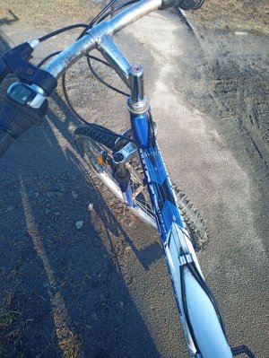 Ну наконец то всем здорова