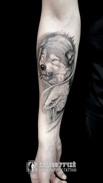 Волк с орлом индивидуальный проект