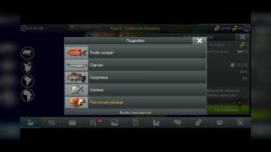 играю в my fishing  worlb