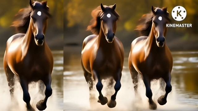 ДУШЕВНЫЙ РЕЛАКС. НАСЛАЖДАЙТЕСЬ ОТДЫХОМ. МУЗЫКА ДЛЯ ДУШИ. МОЖНО СЛУШАТЬ ВЕЧНО !