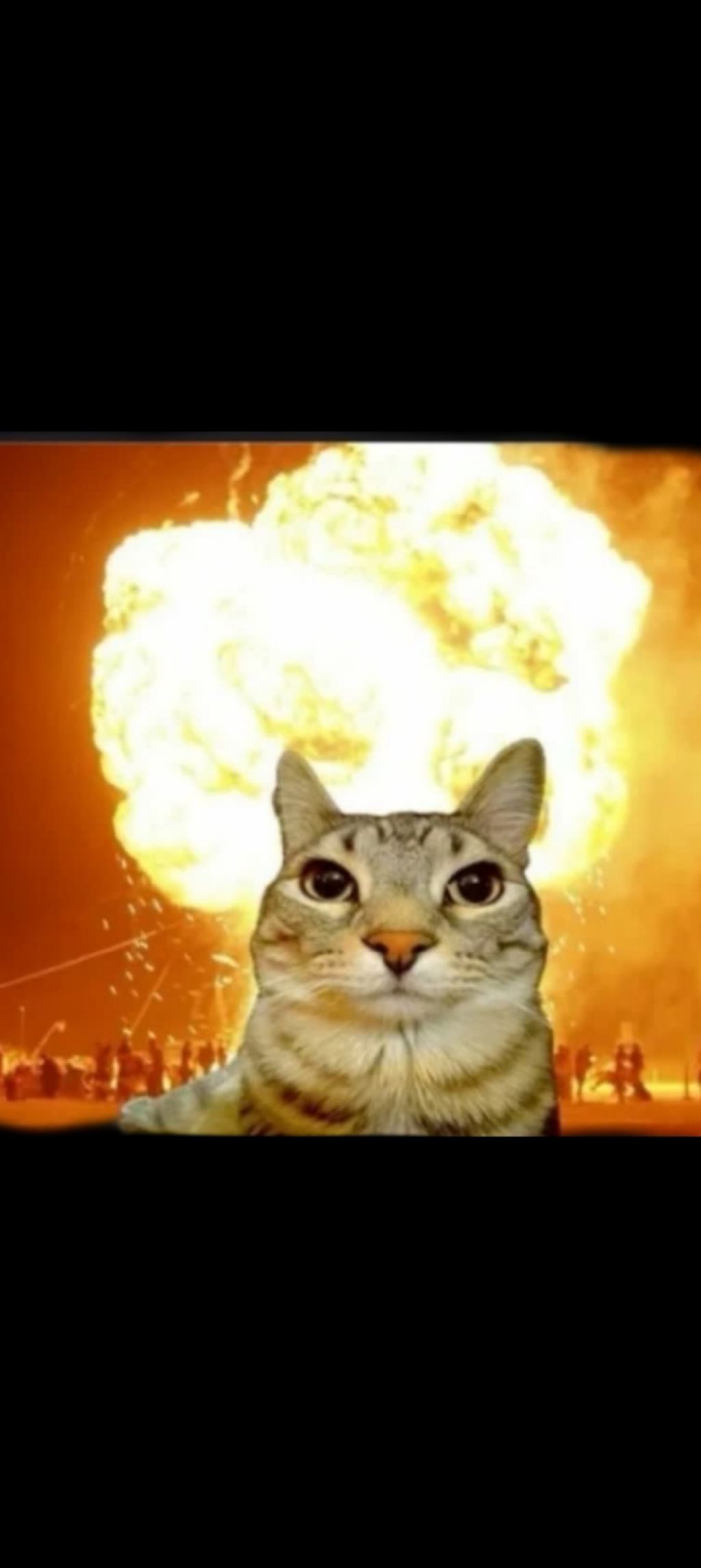 просто трансляция 2