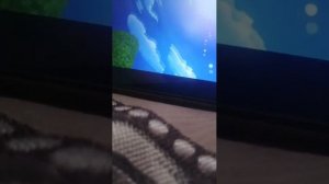 Играю в медвёдя барана