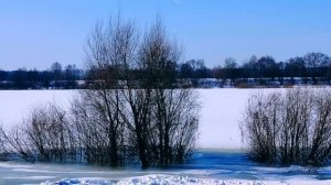 Утренняя прогулка ( 14 марта)