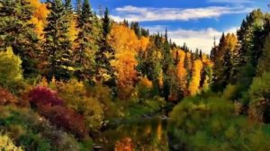 Неси свой крест без ропота и слава Богу за все. Из писем старца Иоанна Крестьянкина.