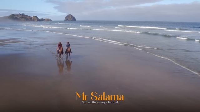 Mr Salama & DNDM & Davvi - Top 5 Songs   Deep House   Retro Mix   2026