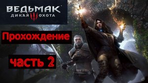Прохождение игры The Witcher 3: Wild Hunt На русском языке № 2 (АУДИЕНЦИЯ)