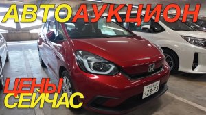 ЯПОНЦЫ РАСПРОДАЮТСЯ? HONDA FIT MAZDA 2 TOYOTA RAIZE COROLLA ALLION CITROEN C3 AEROCROSS