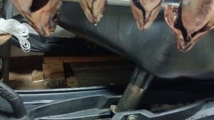 Язёк жирненький 🙂👍