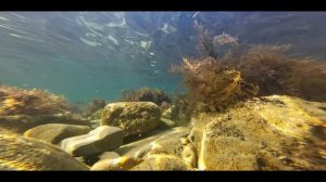 Холодное мартовское Черное море.