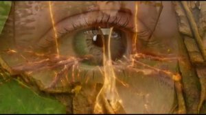 Руки-ветви(Живая книга)