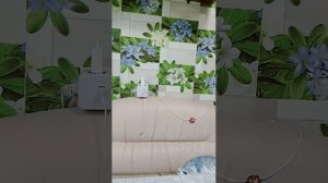 обзор подарков на мой др 🎁