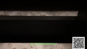 LIVE: Lost in Cities