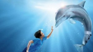 THE MOODY BLUES  - BLUE WORLD. ИСТОРИЯ ДЕЛЬФИНА