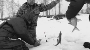 Вот это грозди! Такого вы не видели! Ловля леща на чертики и комбайны