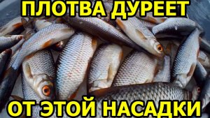 Плотва Дуреет от Этой Насадки в Марте