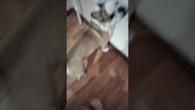 Артур пирожков против Дима Масленников