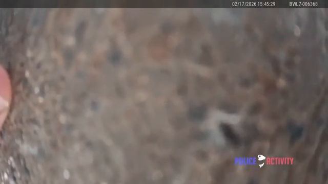 На видео с нательной камеры запечатлено спасение мужчины, застрявшего под автомобилем