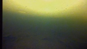 01.03.2026 Два карася на мелководье под льдом