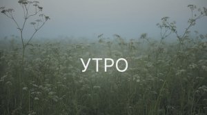 Утро