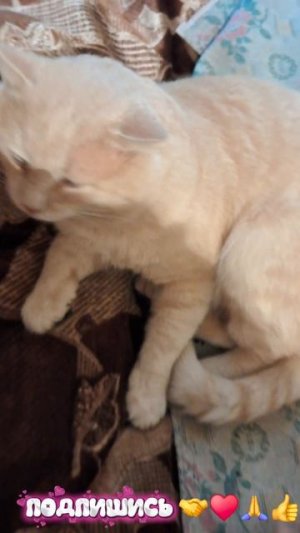 🖋️🚀 БАРИЧКА🙏♥️🖋️🚀