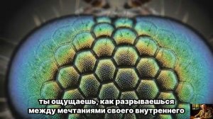 ЮНГ ОТКРЫЛ — После 45 женщина ВХОДИТ в эпоху великой ЛЮБВИ