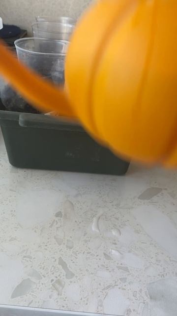 дачный сезон начался