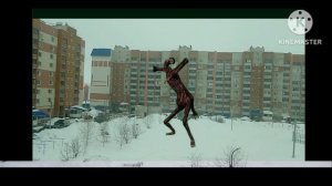 сиреноголовый во дворе Индийский