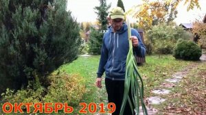 В гостях В ОГОРОДЕ ПРО открытый грунт