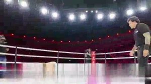 💥Шара Буллет и Царукян за кадром HYPE, Перейра в зале, кипиш на ринге, бразильцы топят за своего!