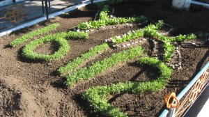 Фильм на основе архивных фотографий сотрудников, работавших в учреждении УК 161/2, 1996–2016 годов