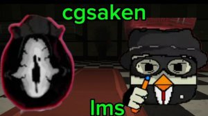 cgsaken lms anyone vs anyone