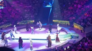 В цирке на Вернадского.