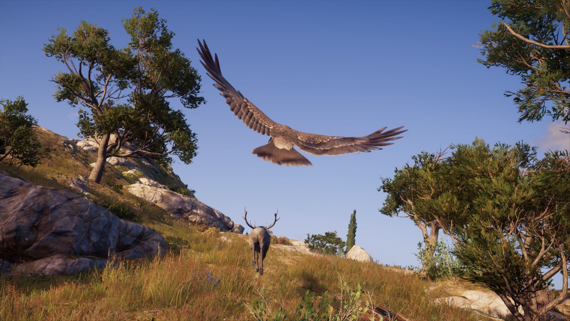 AC Odyssey 🔥 Гнев Кассандры: 5 Песнь Смерти 💀 [Без божественных троп | Кошмар | Без комментариев]