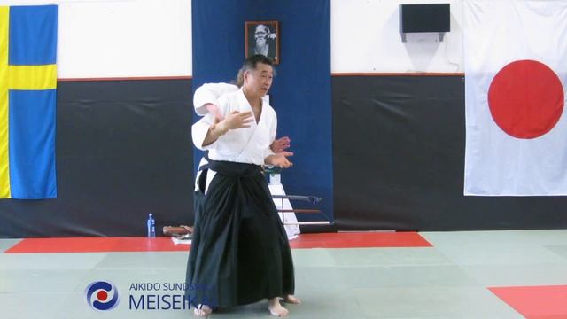 8.Aikido Ai Hanmi Do Barai Koshinage Sundsvall 2012, Shishiya Sensei