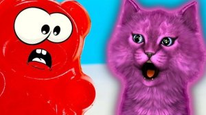 ЖЕЛЕЙНЫЙ МЕДВЕДЬ ВАЛЕРА