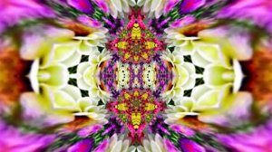 Футажи! Футаж Очаровательные фантастические пейзажи 5!