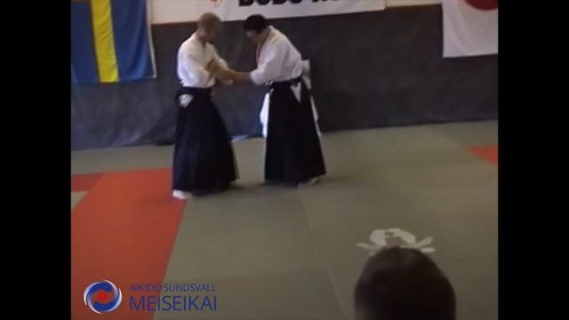 1.Aikido Gyaku Hanmi Tainotenkan Ho Shishiya Sensei, Sundsvall 2004